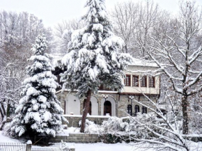 Zenios Dionysos - Traditional villa